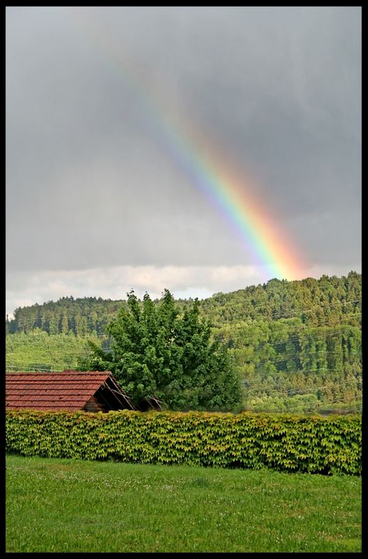 Regenbogen