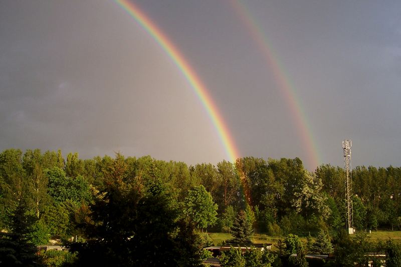 Regenbogen