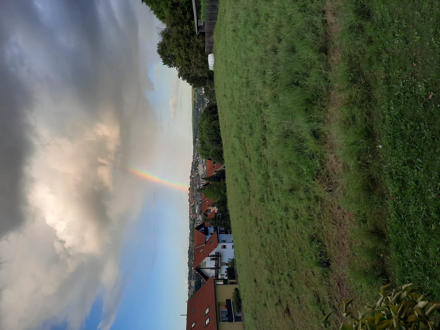 Regenbogen