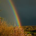 Regenbogen