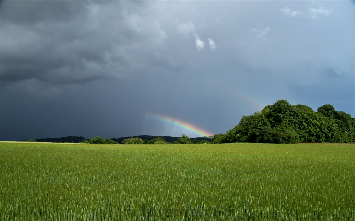 Regenbogen 2