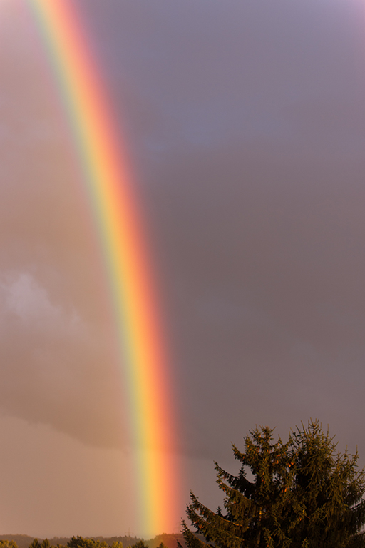 Regenbogen 2