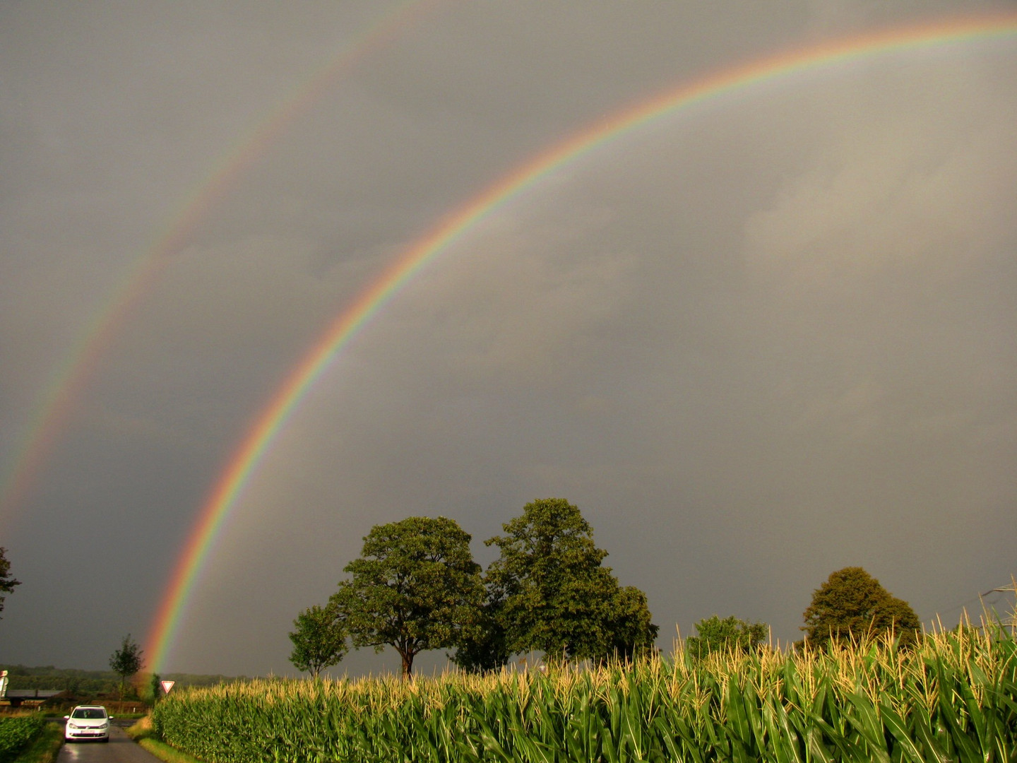 Regenbogen 2