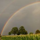 Regenbogen 2