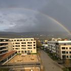 Regenbogen (2)