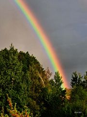 Regenbogen (2)