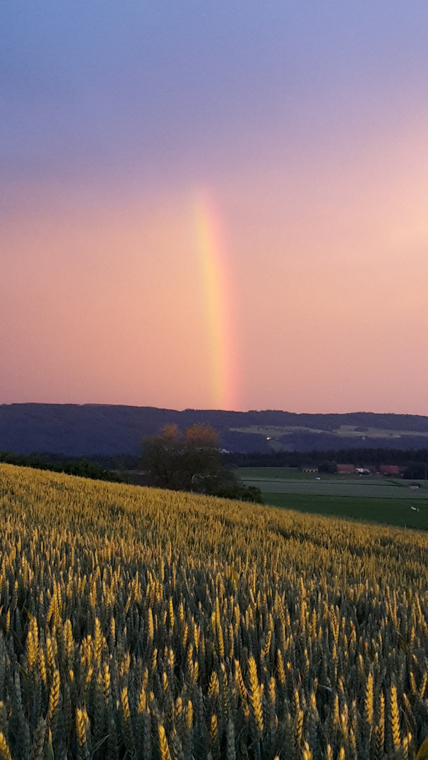 Regenbogen *2