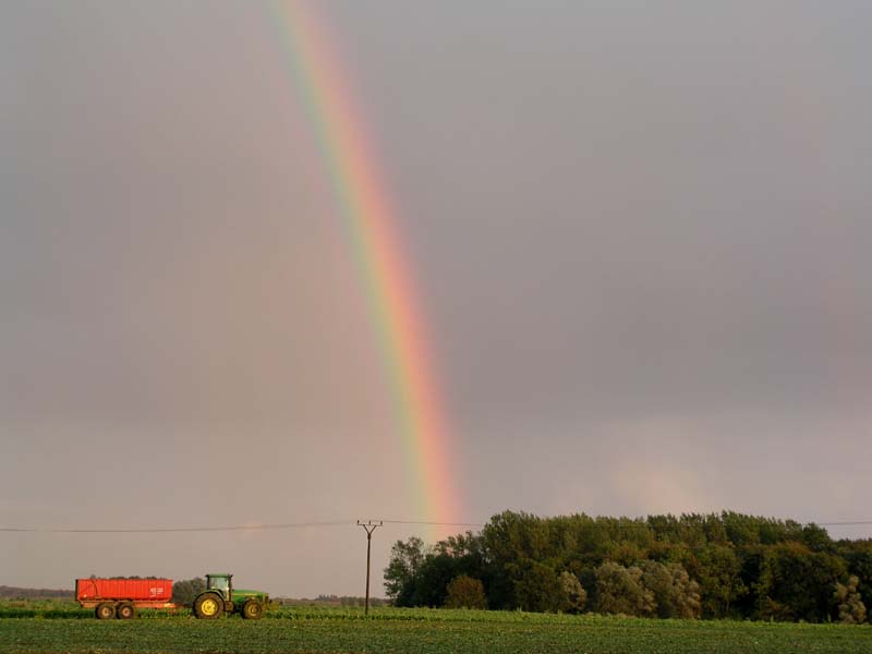 Regenbogen