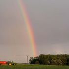 Regenbogen