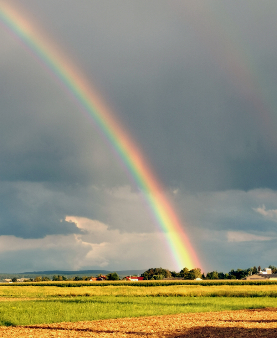 Regenbogen 2020