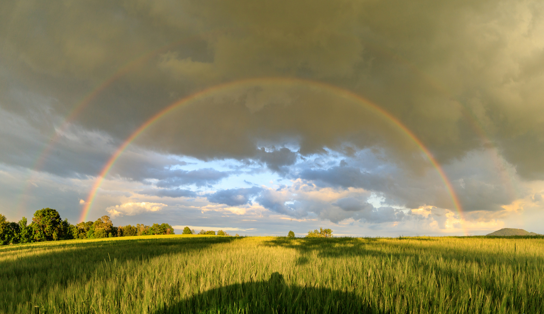 Regenbogen