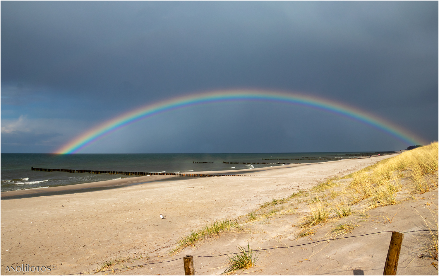 Regenbogen 