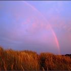 Regenbogen