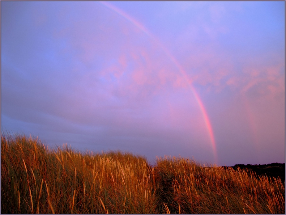 Regenbogen