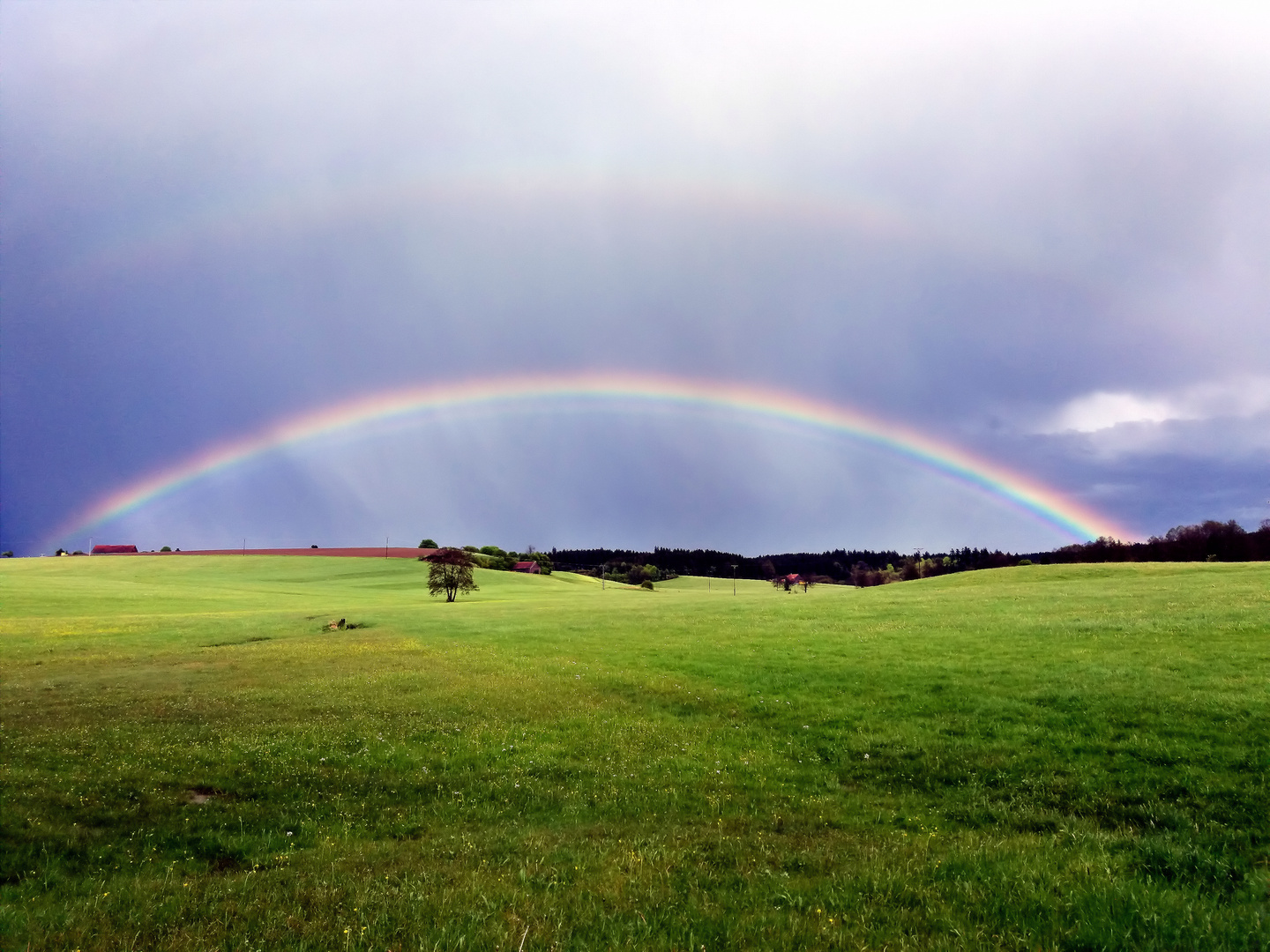 Regenbogen