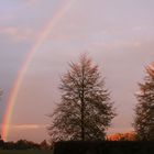 Regenbogen.....