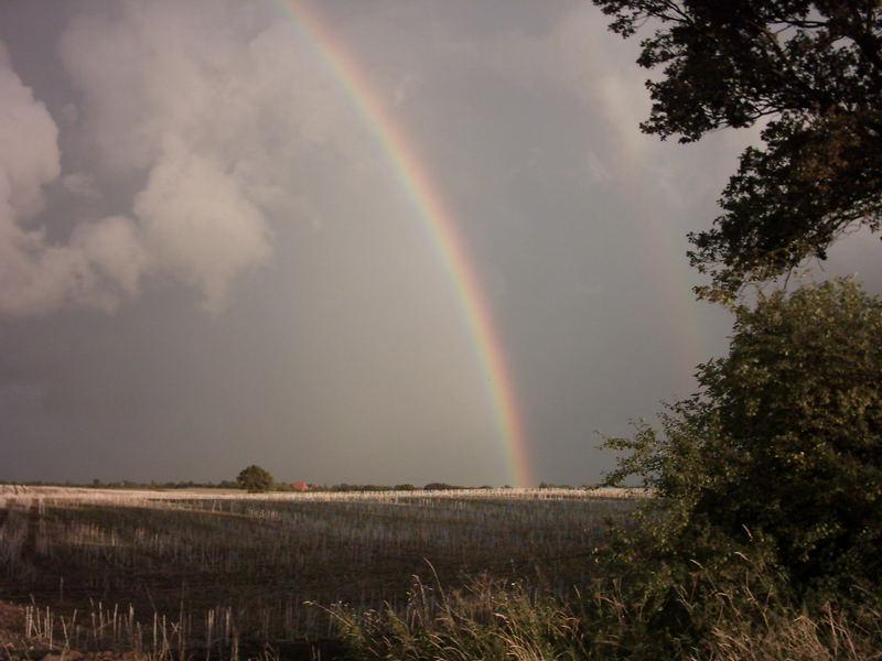 ~~ Regenbogen ~~