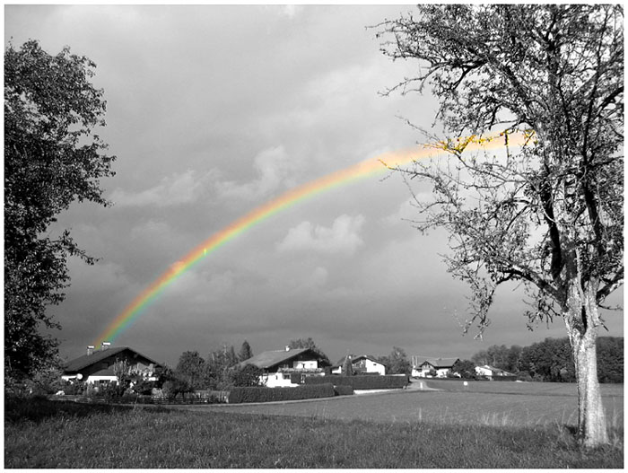 regenbogen