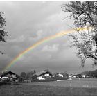 regenbogen