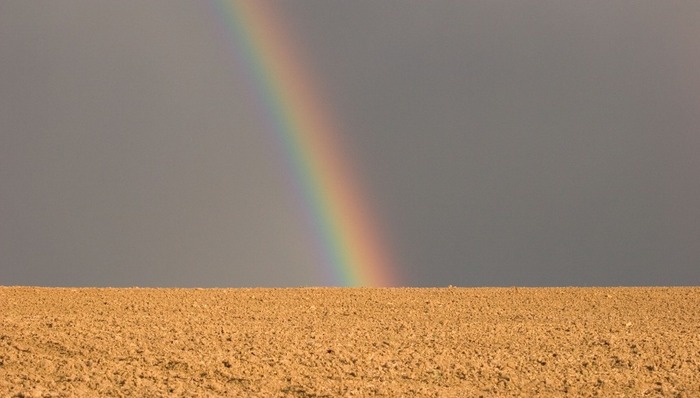 Regenbogen