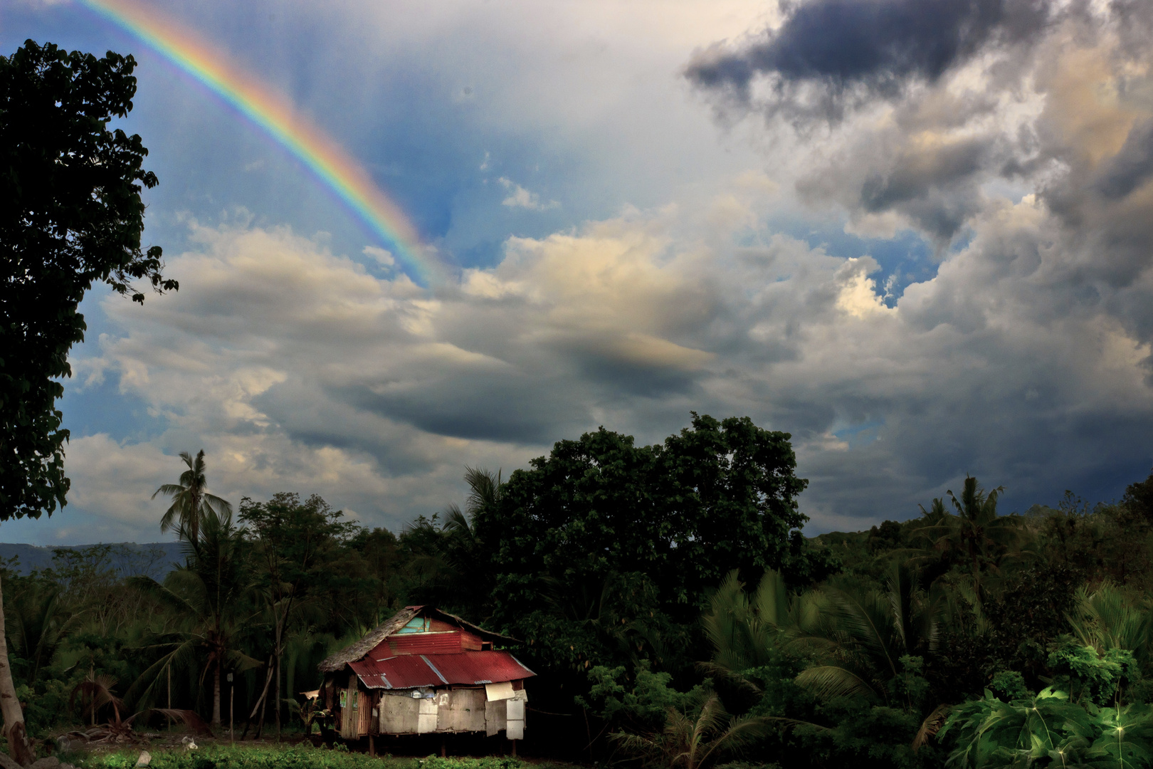 Regenbogen