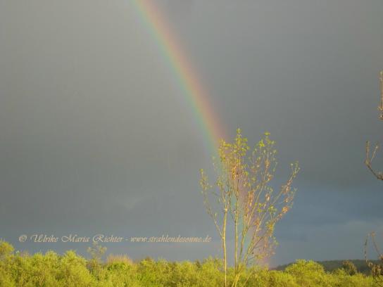 Regenbogen