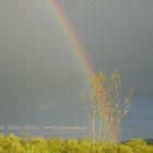 Regenbogen