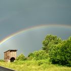 rEgEnBoGeN