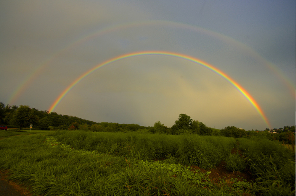 Regenbogen