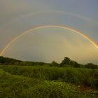 Regenbogen