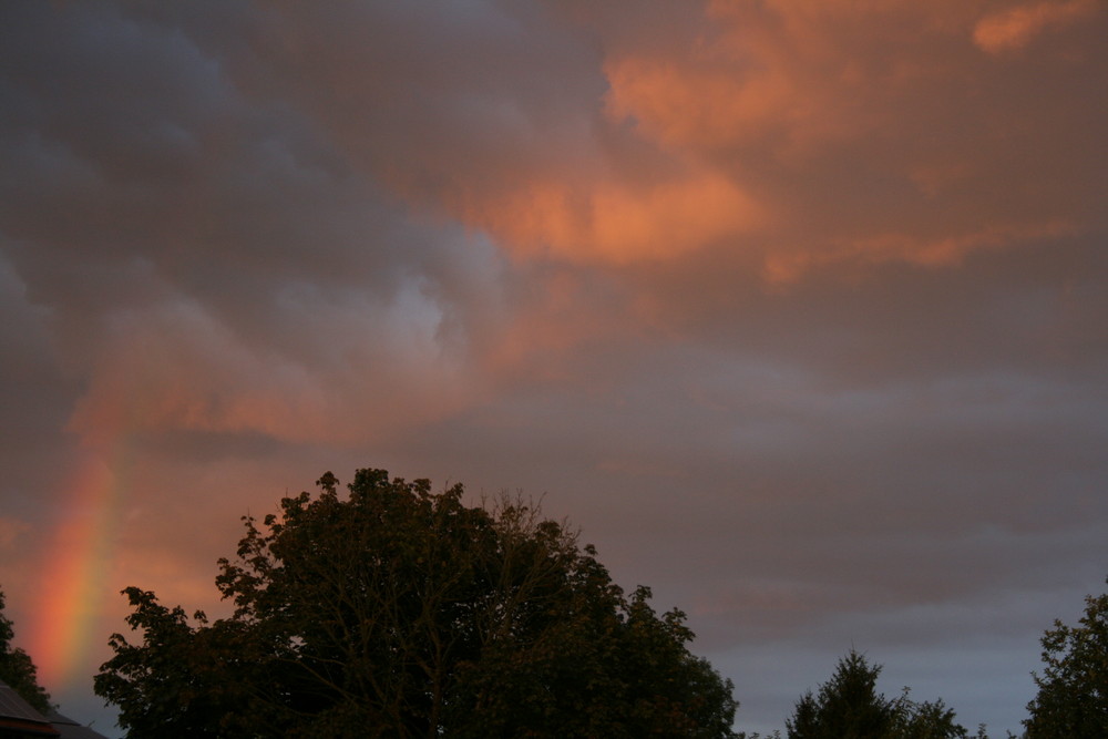 regenbogen