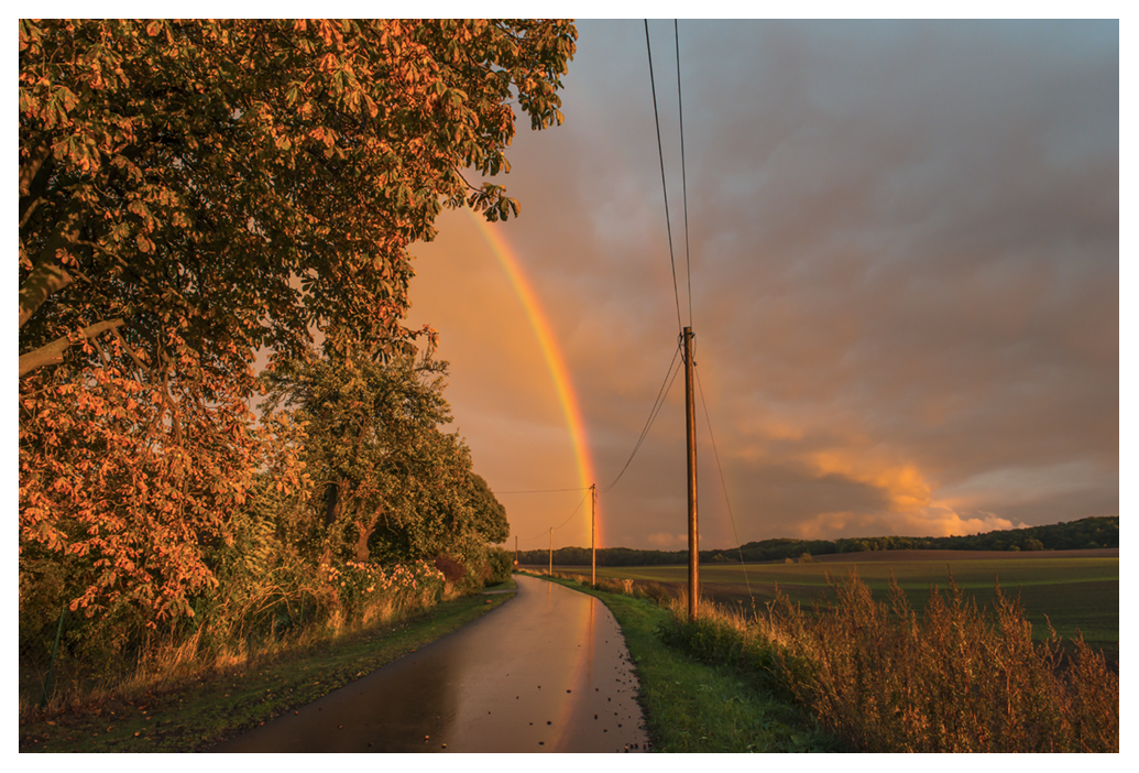 Regenbogen