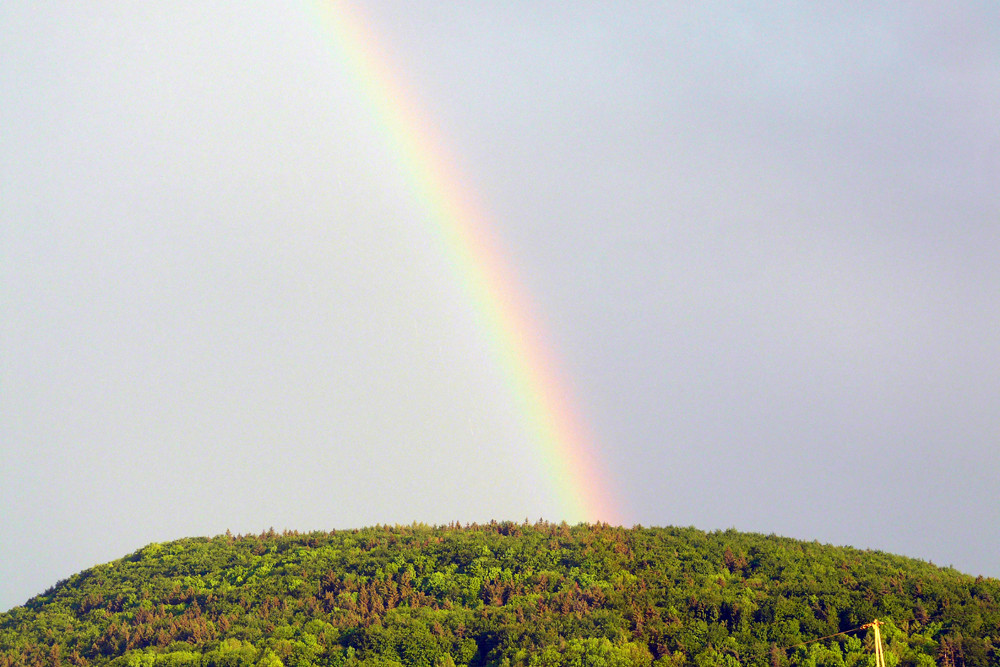 Regenbogen