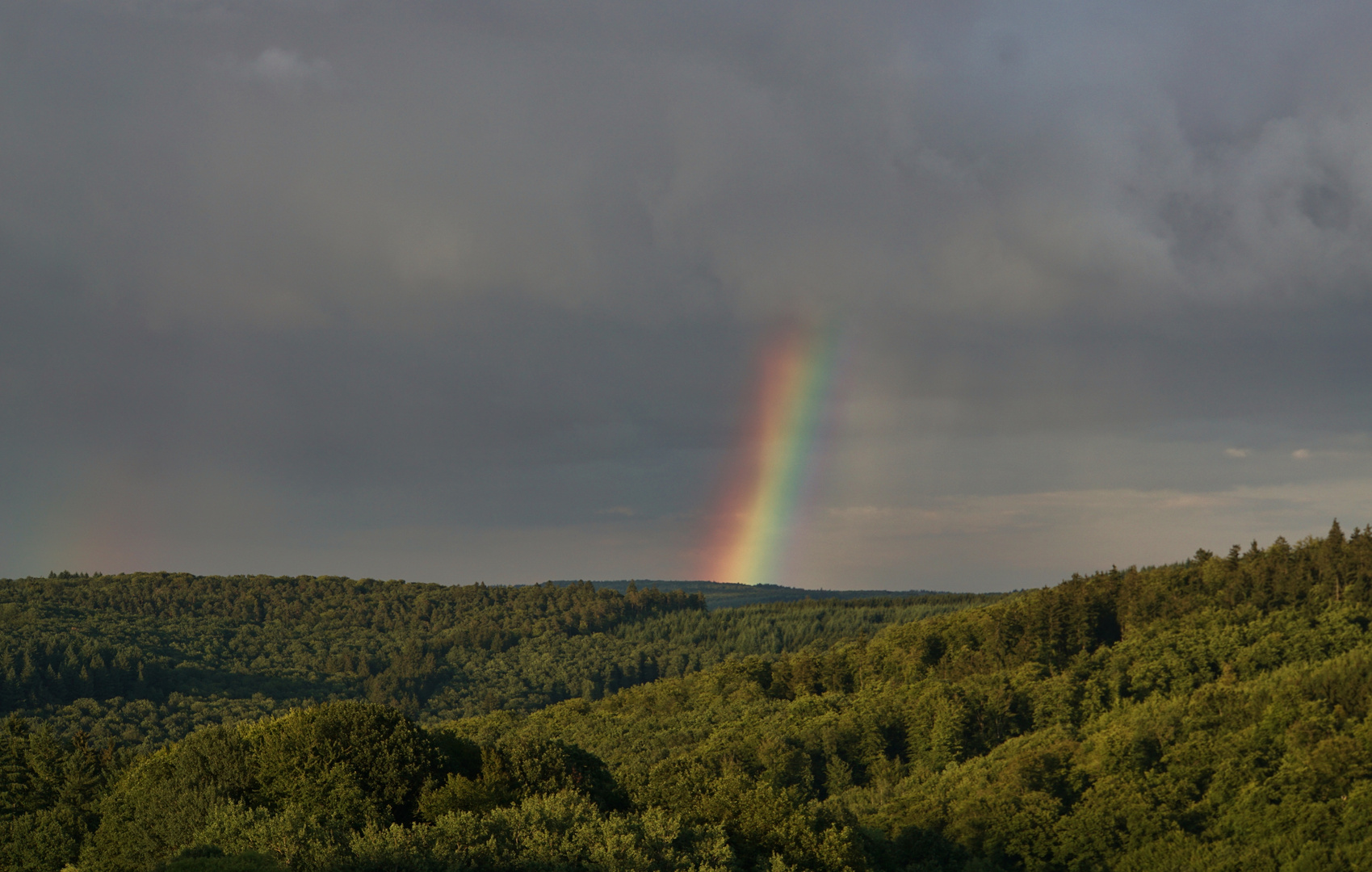 Regenbogen 29.07.2015_02