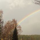 Regenbogen