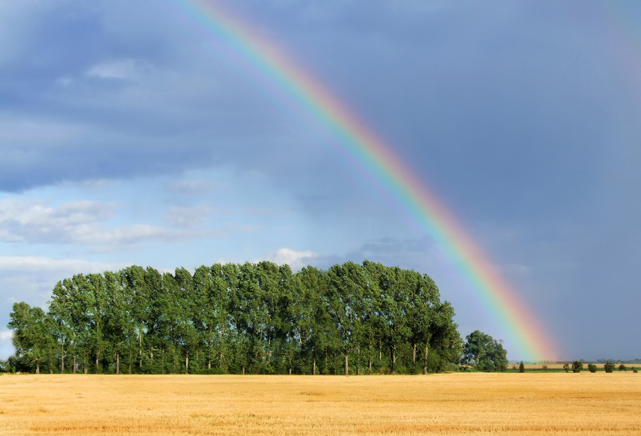 Regenbogen