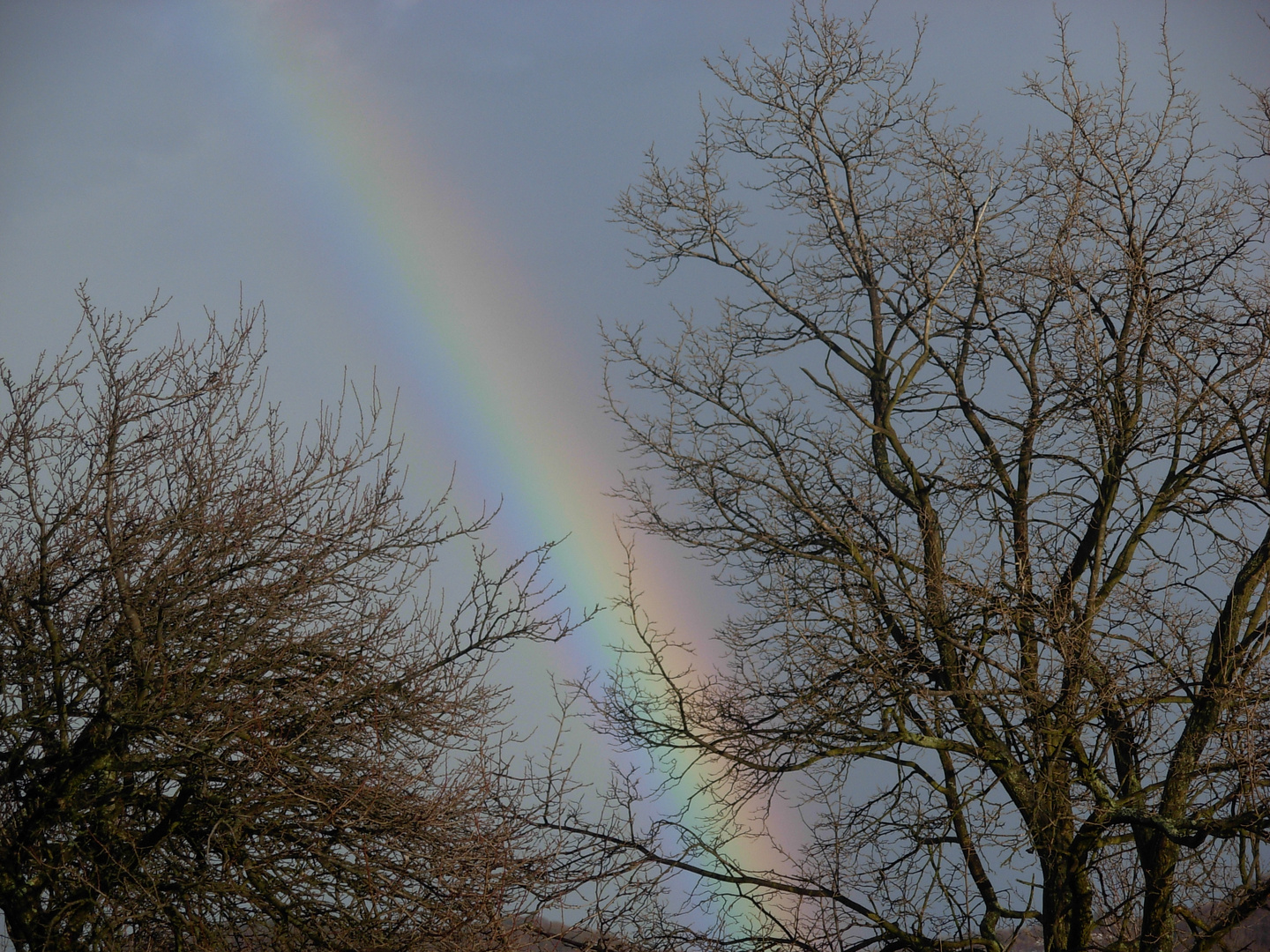 Regenbogen