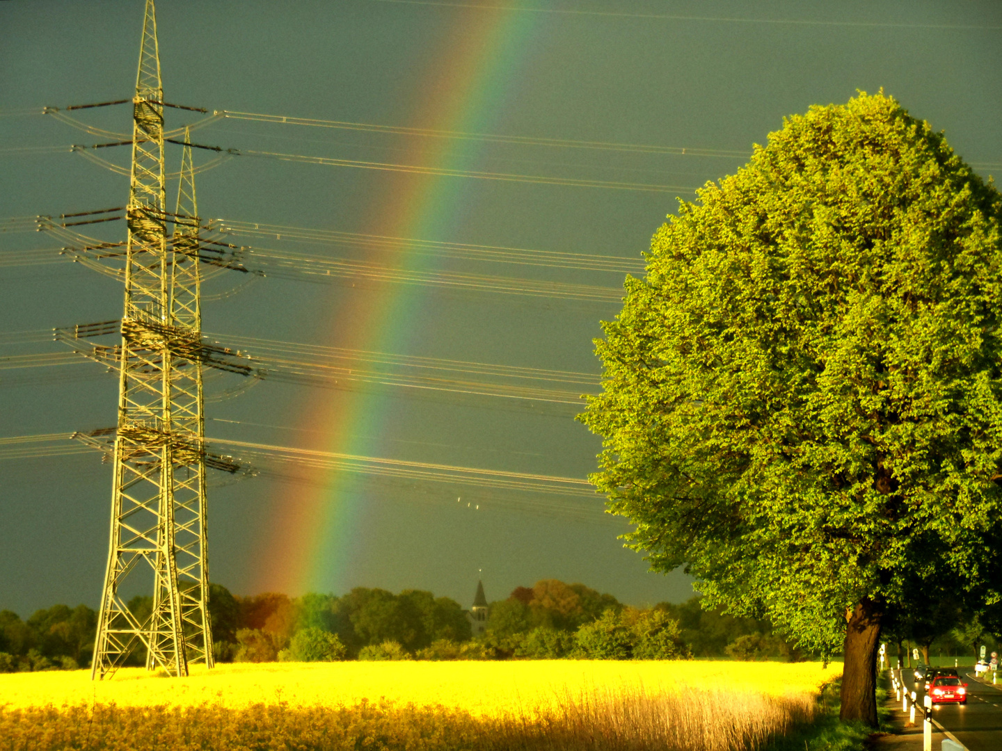 Regenbogen