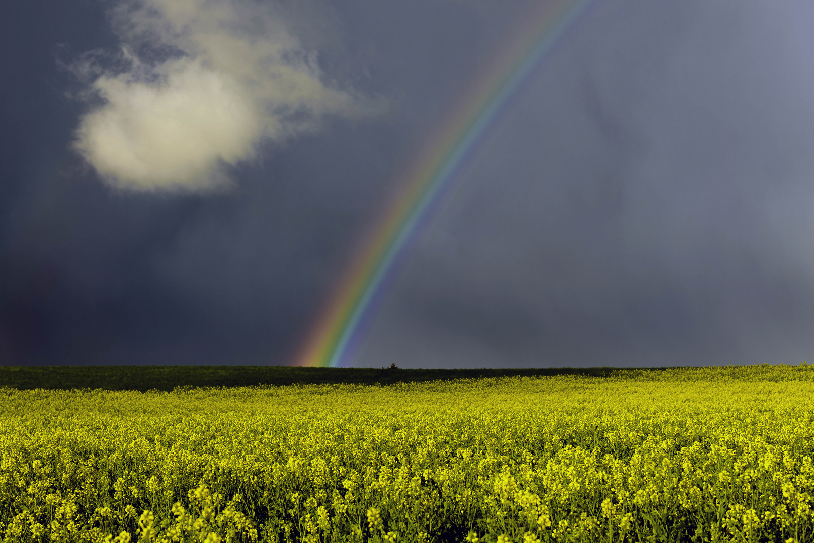 Regenbogen