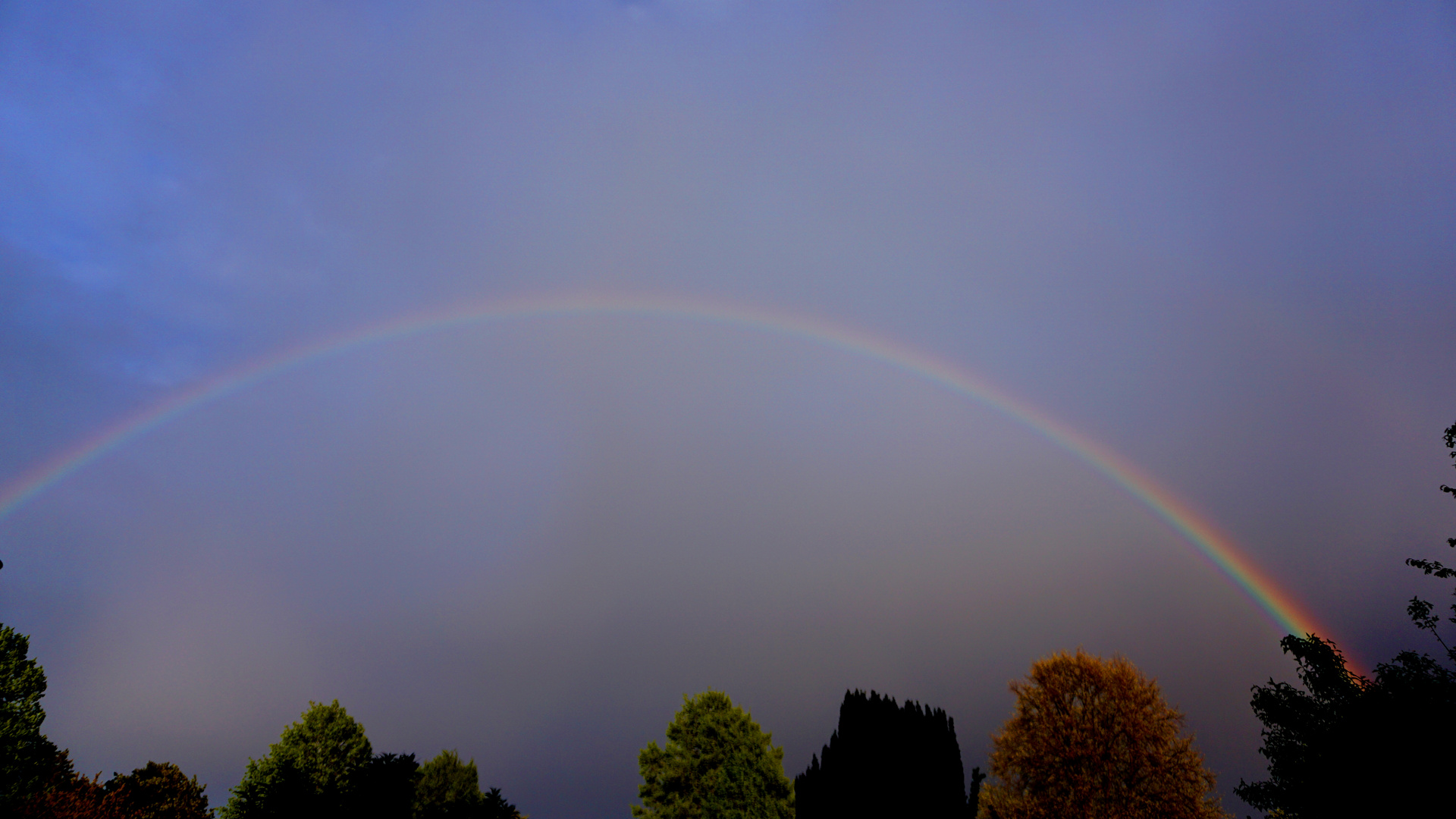 Regenbogen