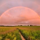 Regenbogen