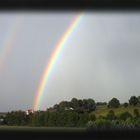 Regenbogen