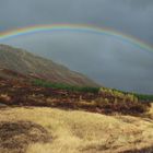 Regenbogen