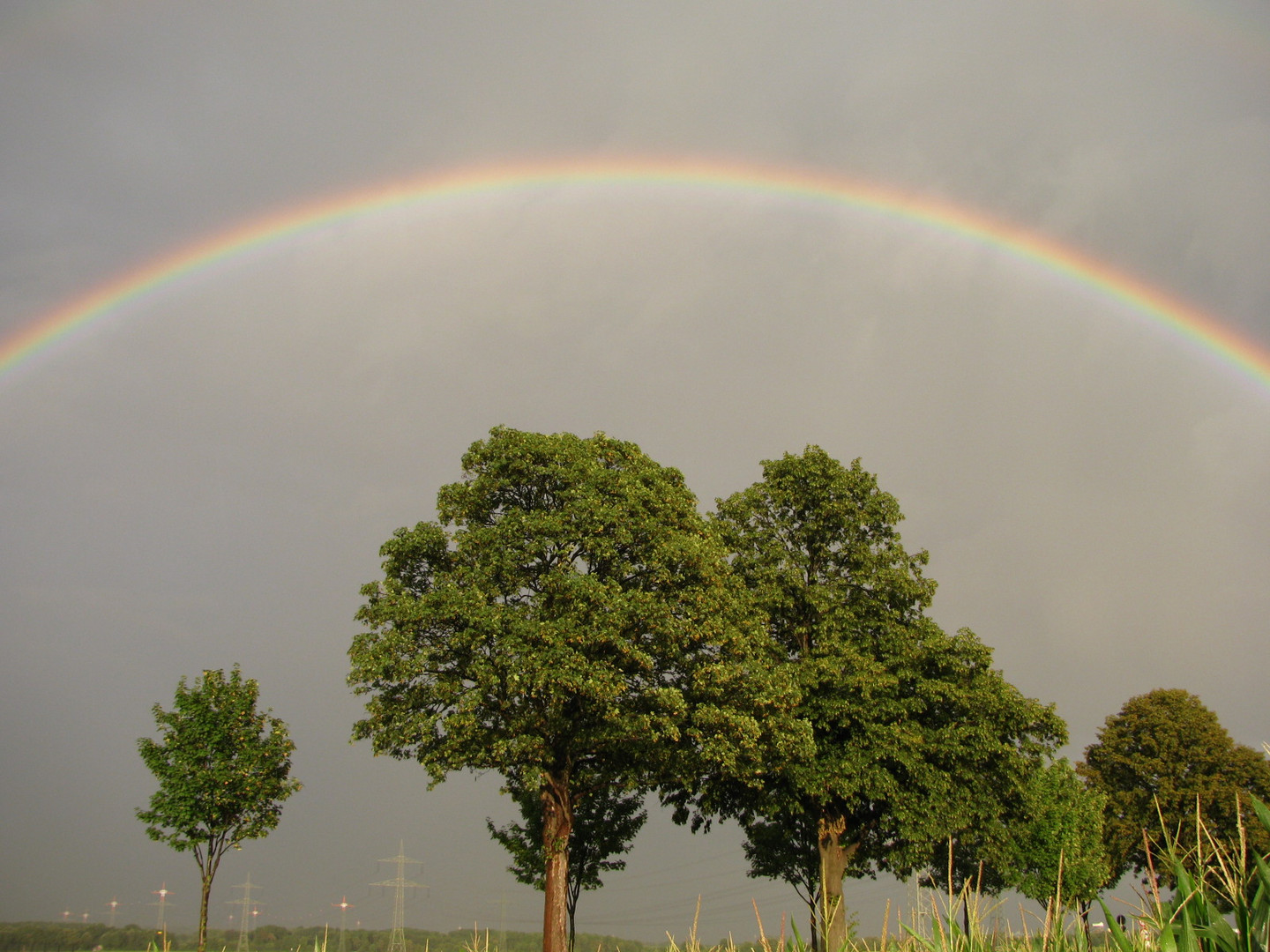 Regenbogen 3