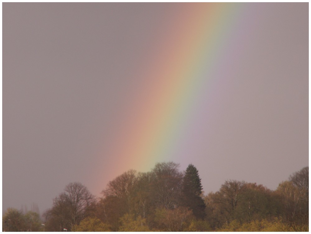 Regenbogen #3