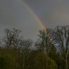 Regenbogen