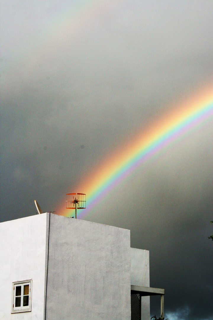 Regenbogen