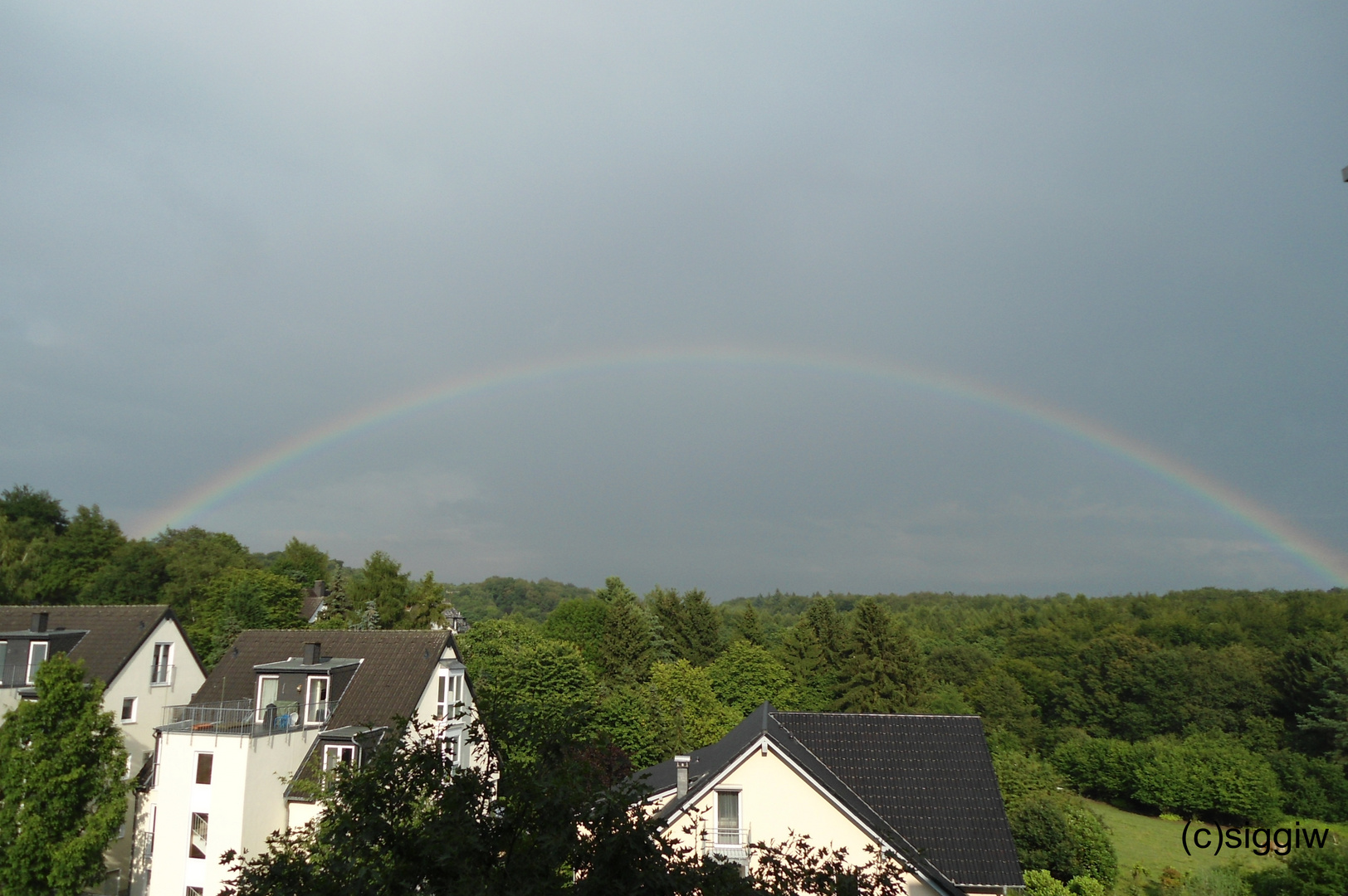 Regenbogen