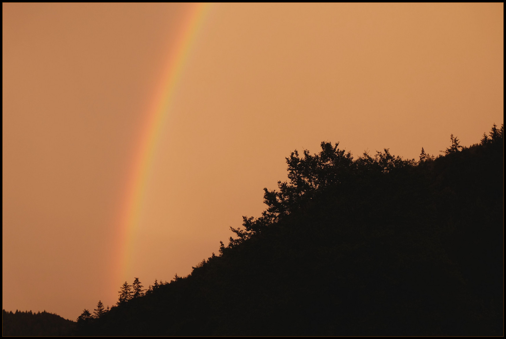 Regenbogen..