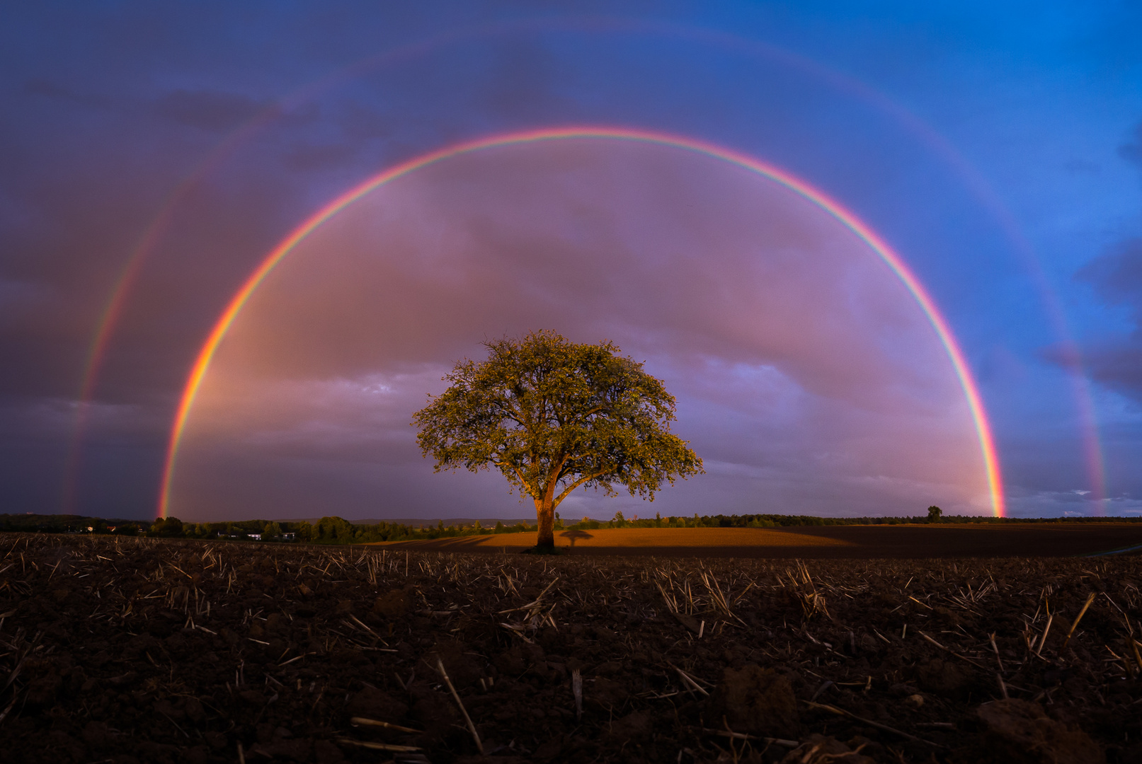 Regenbogen